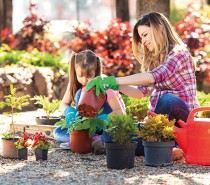 LA PASSION DU JARDIN
